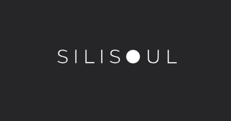 Silisoul