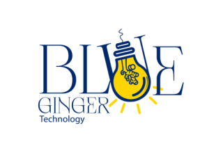 Top Web Design Company in Dubai, UAE - Blue GInger Technology