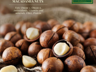 Healthy Snacking Made Easy with Convenient Macadamia Nuts