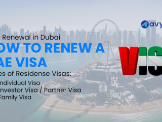 Visa Renewal in Dubai - Avyanco Business Setup Consultancy