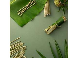 Disposable Eco Straws Packaging Supplies | Eco Green Supplies