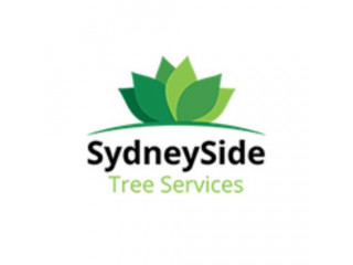 Tree Mulching Services Sydney: Transform Waste into Garden Gold