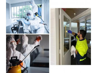 Professional Mould Removal Services in Melbourne