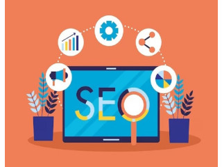 Drive Traffic and Boost Rankings with SEO Packages in Sydney