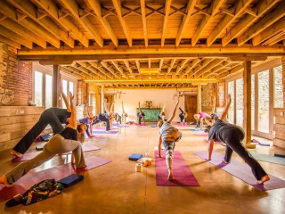 200-Hour Yoga Teacher Training in Florida: Transform Your Practice