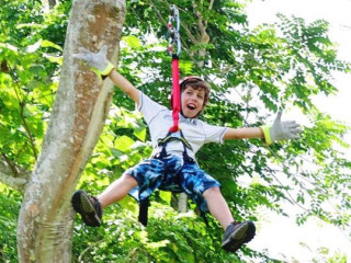 Embark on a Zipline Journey and Uncover the Beauty of Fiji