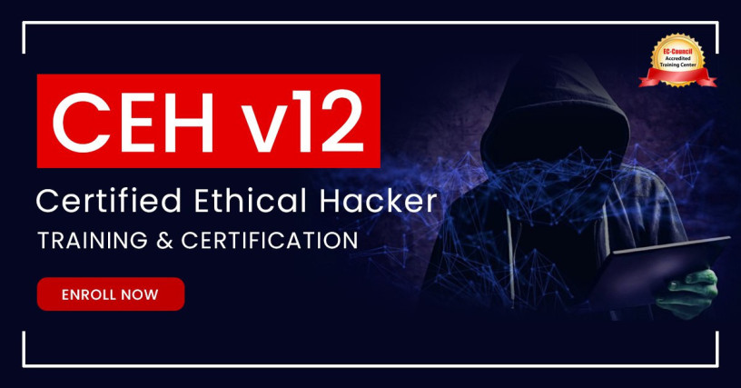 ethical-hacker-training-online-big-0