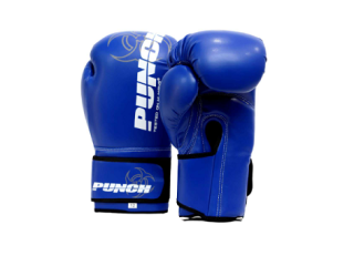 Shop the Best Fight Gear Punch Collection