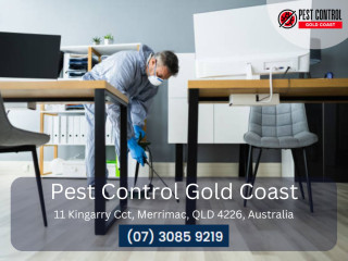 Get Rid of Flies in Gold Coast Quickly