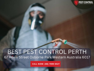 Residential Pest Control Services in Perth – Keep Your Home Pest-Free