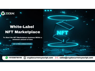 White Label NFT Marketplace - To Start a business Within a short time