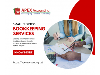 Expert Small Business Bookkeeping Services in Toronto | Apex Accounting