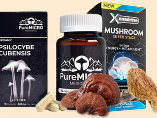Get The Best Magic Mushrooms-