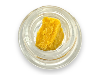 BUDDER BY ELITE ELEVATION