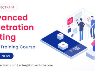 Advance Your Skills with Penetration Testing: Expert-Led Online Training