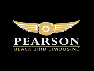 Best Airport Limo in Orangeville | Pearson Black Bird