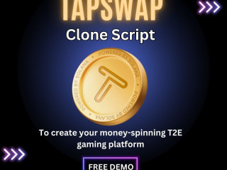 To create your money-spinning T2E gaming platform