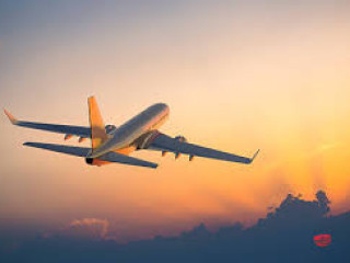 What Terminal is Frontier Airlines at MCO?