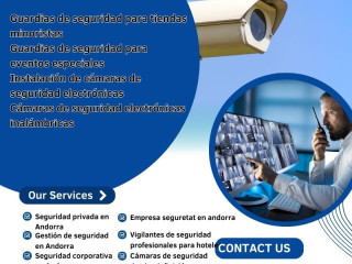 Cámaras de seguridad electrónicas inalámbricas