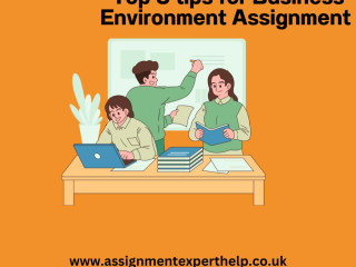 Top 10 tips for Business Environment Assignment