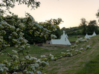 Enjoy Nature in Style: Best Luxury Glamping Spots in Devon