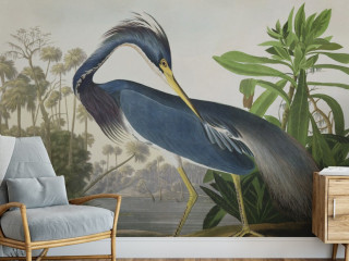 Blue Heron Wallpaper for Walls