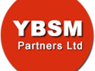 Business Environment Analysis - YBSM Partners