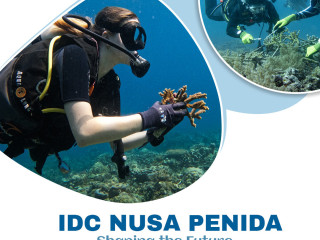 IDC Nusa Penida: Shaping the Future