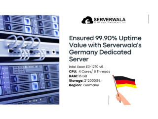 Ensured 99.90% Uptime Value with Serverwala's Germany Dedicated Server
