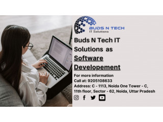 Buds N Tech excels as Noida's premier software development company