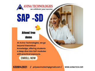 Sap SD Training in Hyderabad | Sap SD Course in Hyderabad | Online & Offline Training