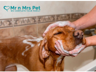 Dog GroomingService at Home in Bangalore