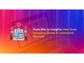 How Data Scraping Drives E-commerce Success