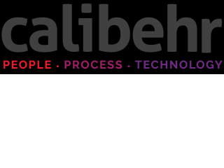 Top Business Solutions Provider Company in India – Calibehr