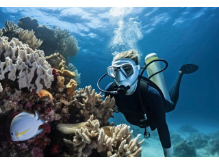 Snorkeling Tour Packages in Andaman Islands