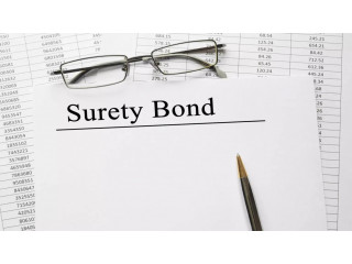 Surety Bonds Are Offered By IndiaFinancial Security | Surety Seven