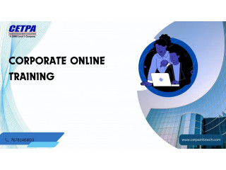 Customizing Corporate Online Training for Diverse Learning Styles