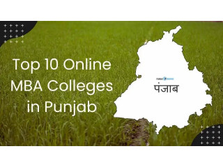 Top 10 Online MBA Colleges in Punjab