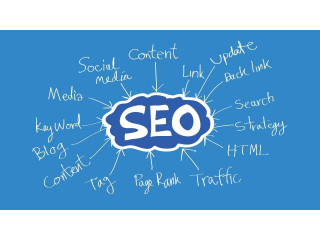 How do search engine algorithms evolve and impact SEO rankings?