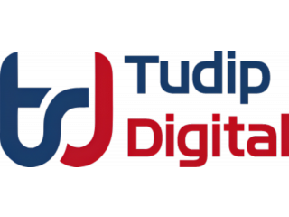 Exemplary Software Development Company: Tudip Technologies