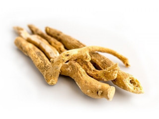 The Healing Power of Withanolides: Exploring Withania Somnifera Root Extract Benefits!!