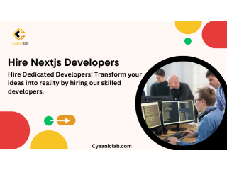 Hire NextJs Developers for Startups or Hire Development Team