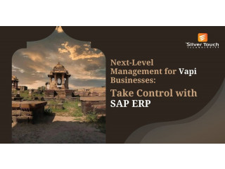 SAP Business One Solutions for Vapi Businesses