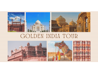 Are You Ready for the Delhi Agra Jaipur Tour?
