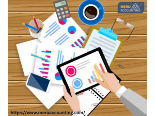 Meru Accounting Payroll Management Service In India