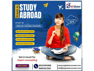 Study Abroad Consultants in India