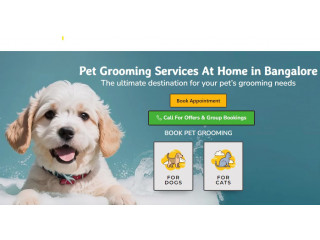 Pet Grooming Services at Home in Bangalore - OH My Pet Grooming