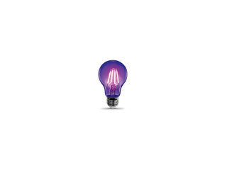 Brighten Your World with Filament Bulbs from Lighting & Supplies!