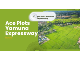 Ace Plots Yamuna Expressway: Experience Unmatched Serenity