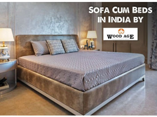 Wooden Sofa Cum Bed In Delhi NCR- Woodage Sofa cum Bed